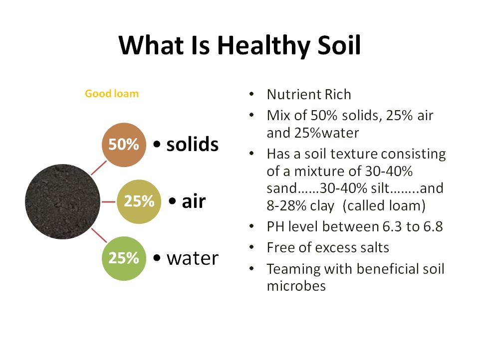This image has an empty alt attribute; its file name is what-is-healthy-soil.jpg
