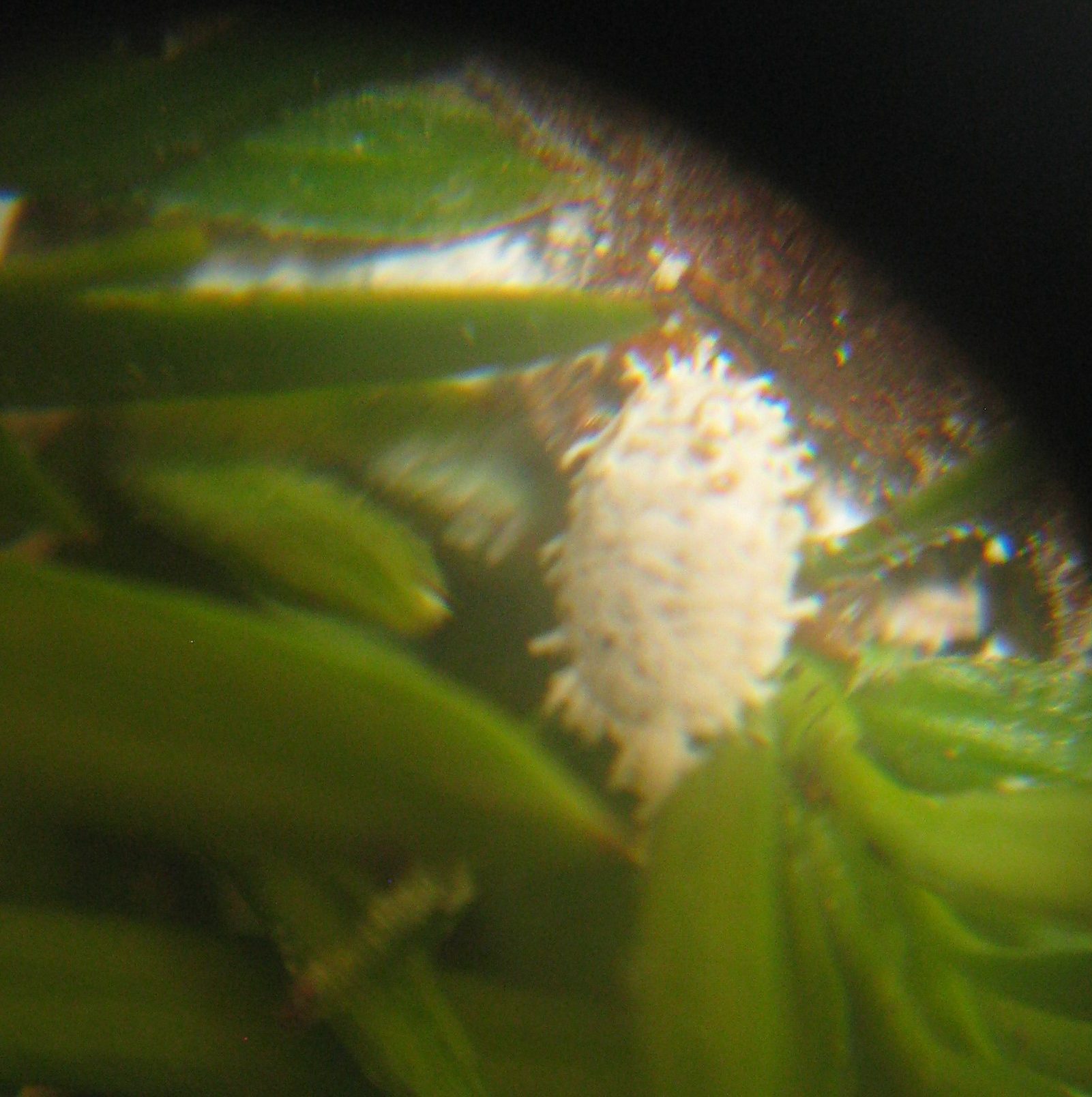 This image has an empty alt attribute; its file name is 009-2-2-edited.jpg